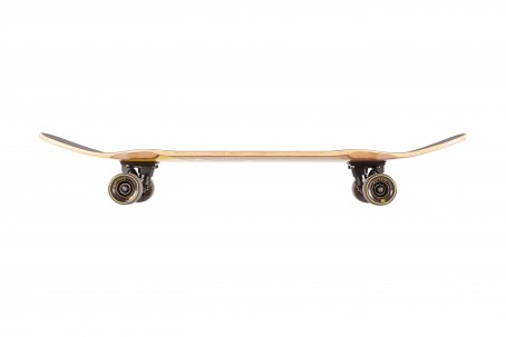 Area Replica Northrider